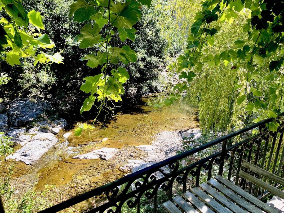 Maison Les Pieds Dans L'Eau فيليفورت المظهر الخارجي الصورة